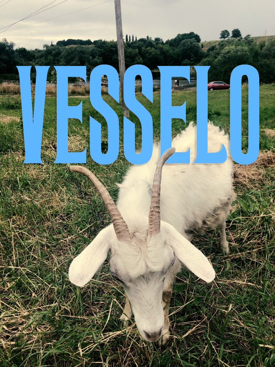 vesselo1