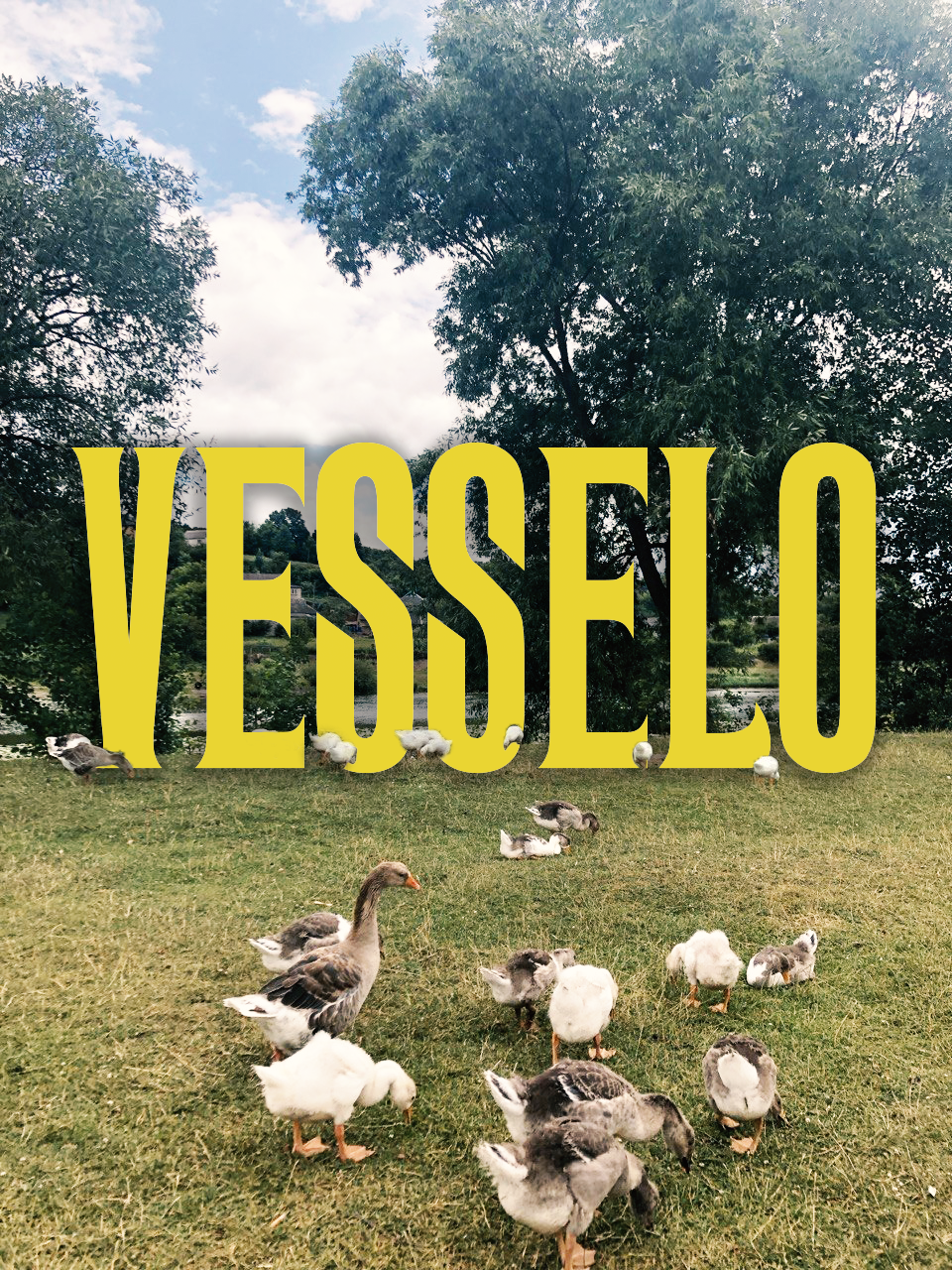 vesselo2